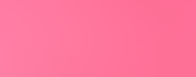 Flamingo Pink