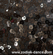 Sequin Mesh