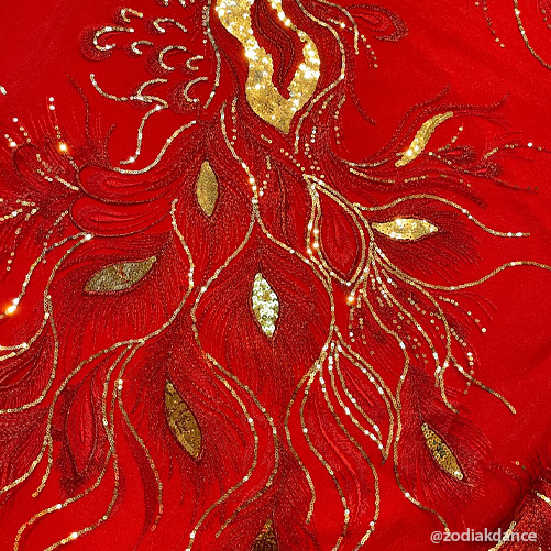 Lace Sequin Embroidery Жар-птица Red