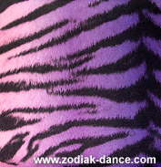 Лайкра с рисунком Тигр  в Салоне Зодиак